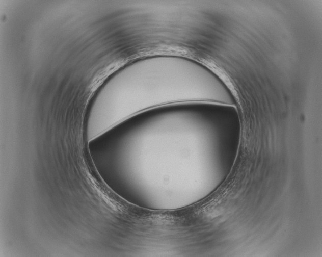 X0000089700437200706210855