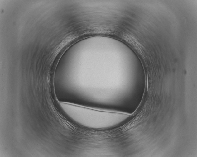 X0000089700483200706210854