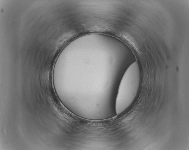 X0000089700491200706210854