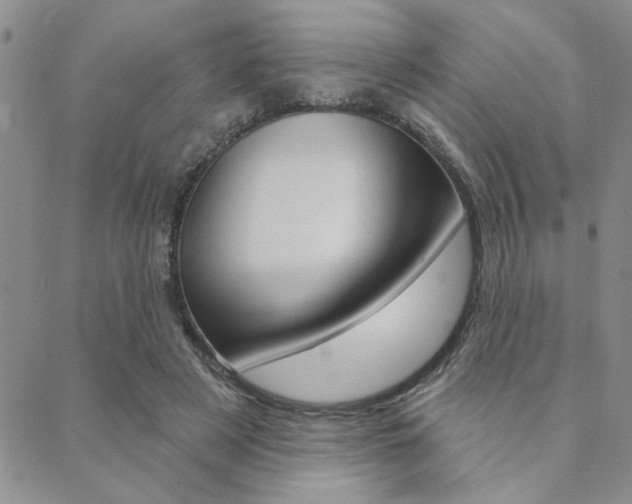 X0000089700497200706210854