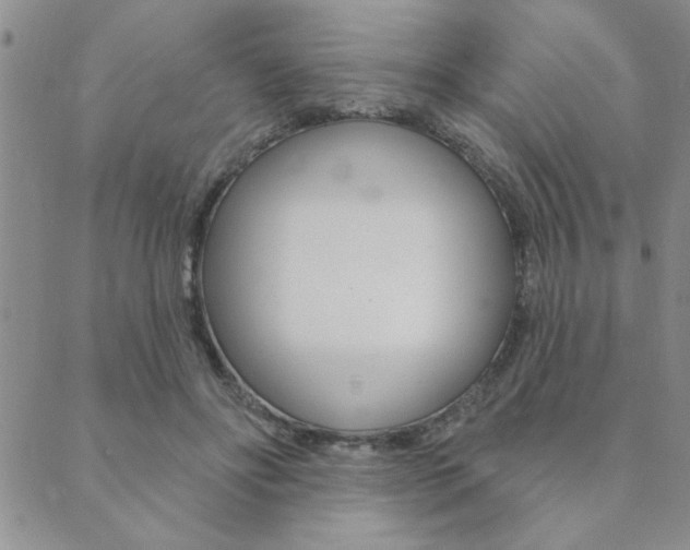 X0000089700502200706210854