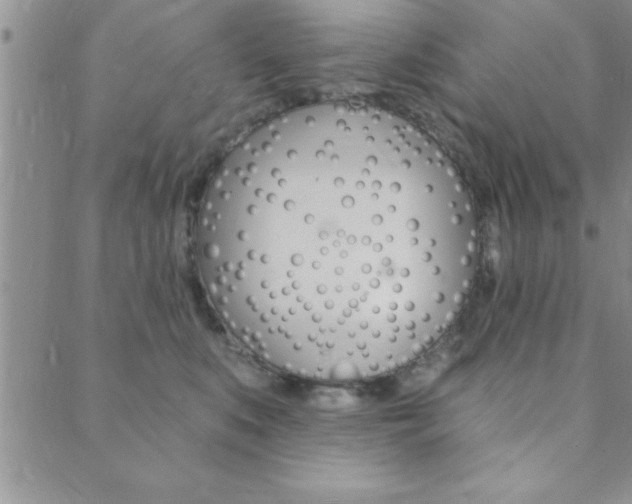 X0000089700519200706210854