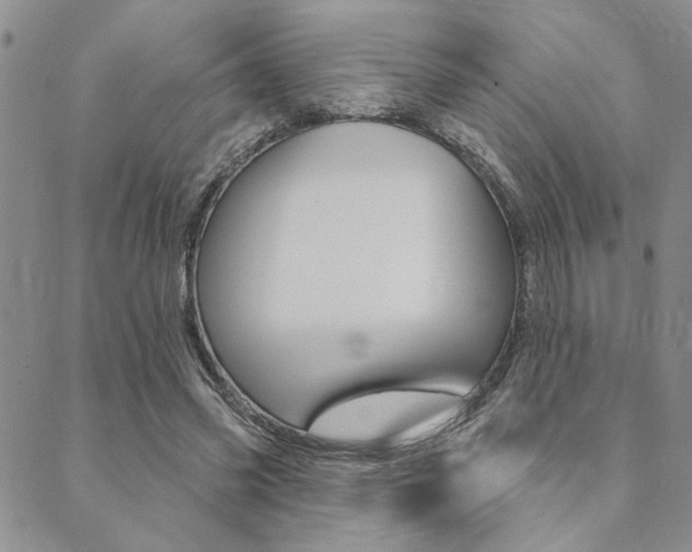 X0000089700541200706210853