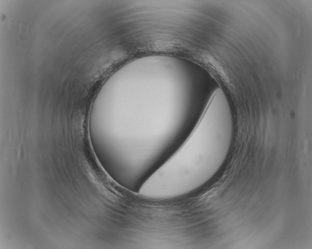 X0000089700542200706210853