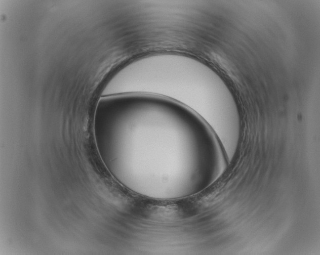 X0000089700548200706210853