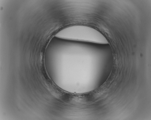 X0000089700550200706210853