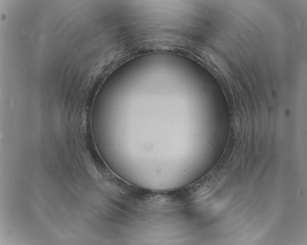 X0000089700551200706210853
