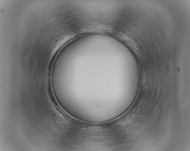 X0000089700578200706210853