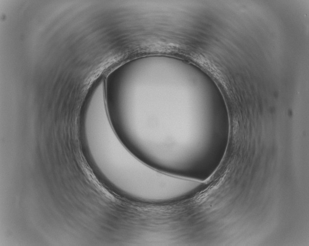 X0000089700581200706210853