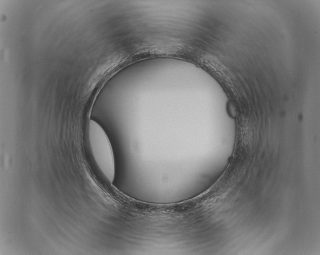 X0000089700586200706210853