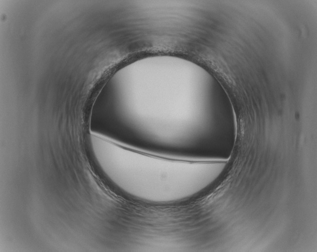 X0000089700588200706210853