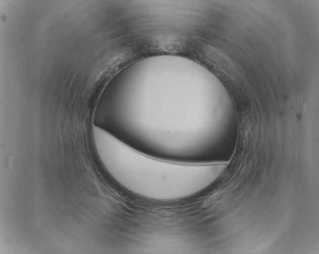 X0000089700595200706210853