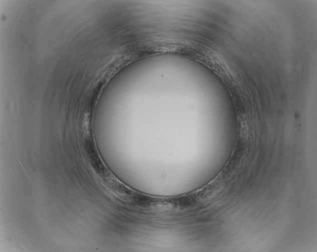 X0000089700598200706210853
