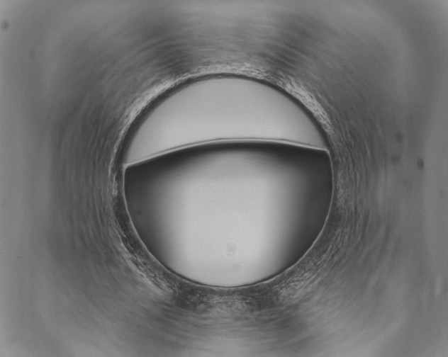 X0000089700628200706210851