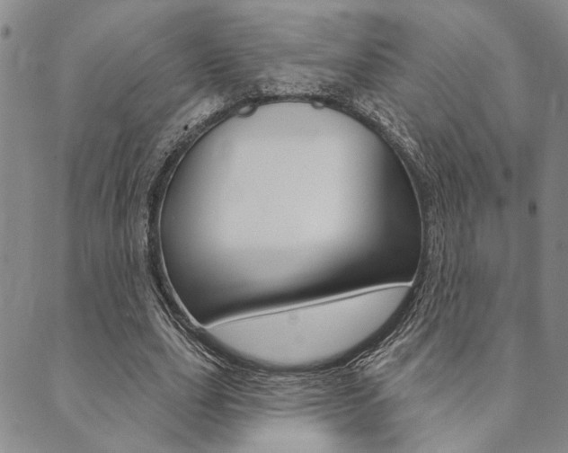 X0000089700631200706210851