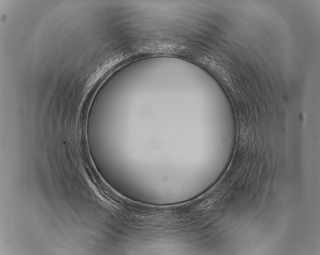 X0000089700674200706210851