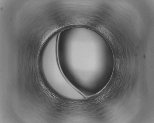 X0000089700676200706210851