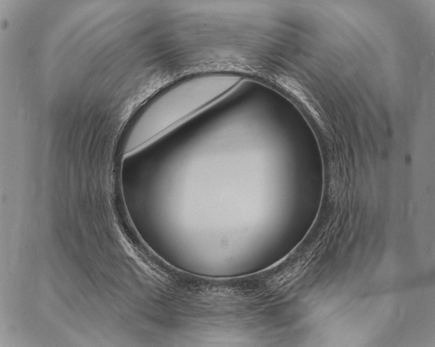 X0000089700677200706210851