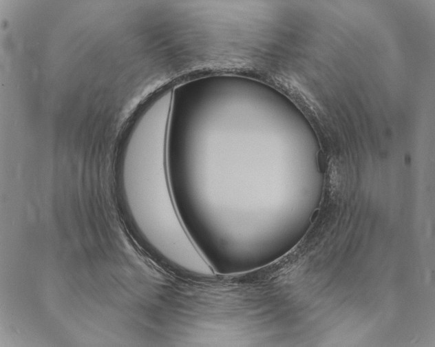 X0000089700684200706210851
