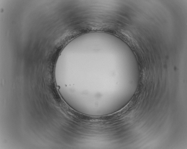 X0000089700691200706210851