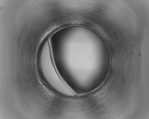 X0000089700722200706210850