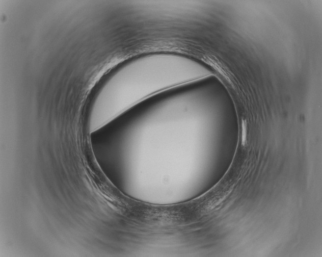 X0000089700723200706210850