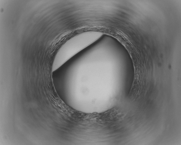 X0000089700773200706210850