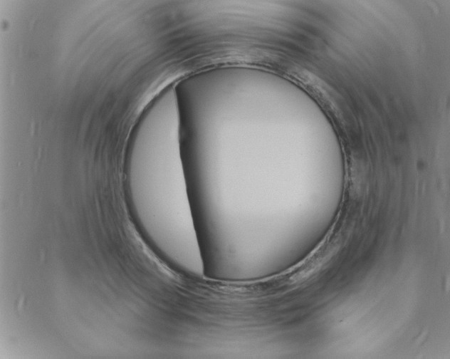 X0000089700794200706210849