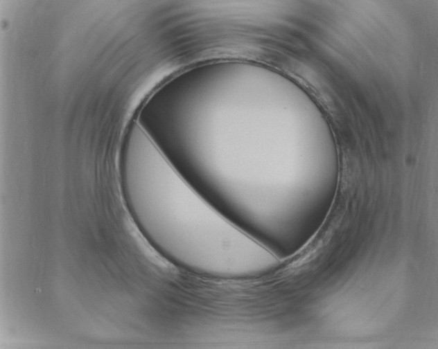 X0000089700796200706210849