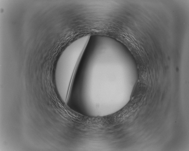 X0000089700817200706210848