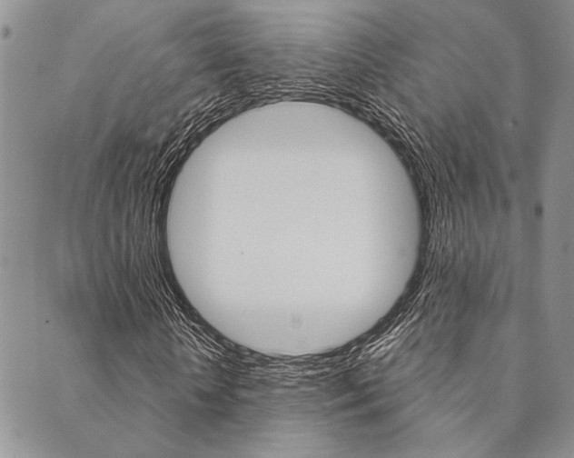 X0000089700818200706210848
