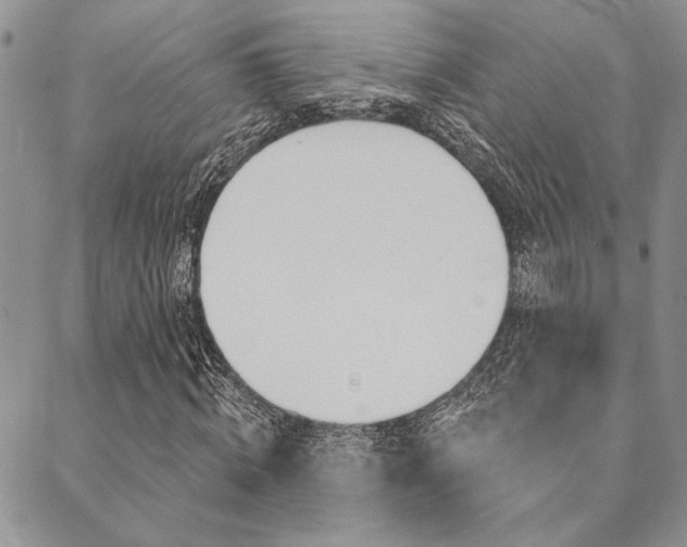 X0000089700820200706210848