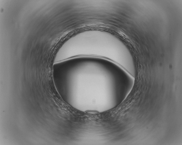 X0000089700822200706210848
