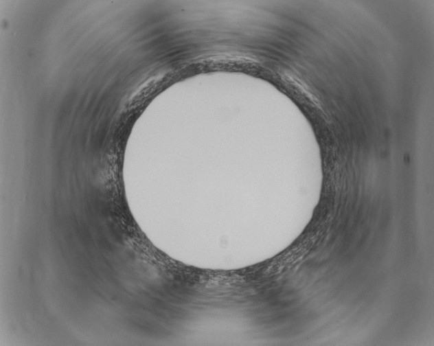 X0000089700824200706210848