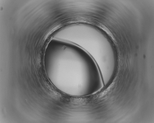 X0000089700826200706210848