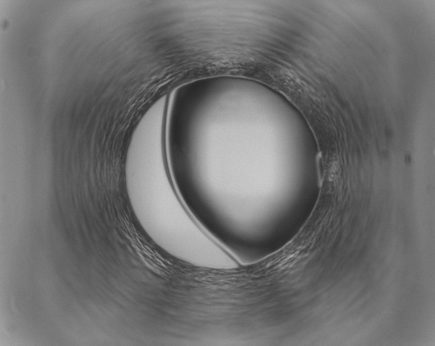 X0000089700868200706210848