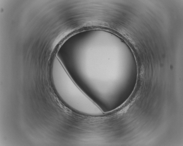 X0000089700877200706210848