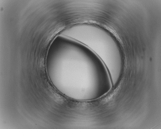 X0000089700881200706210848