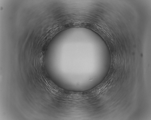 X0000089700914200706210847
