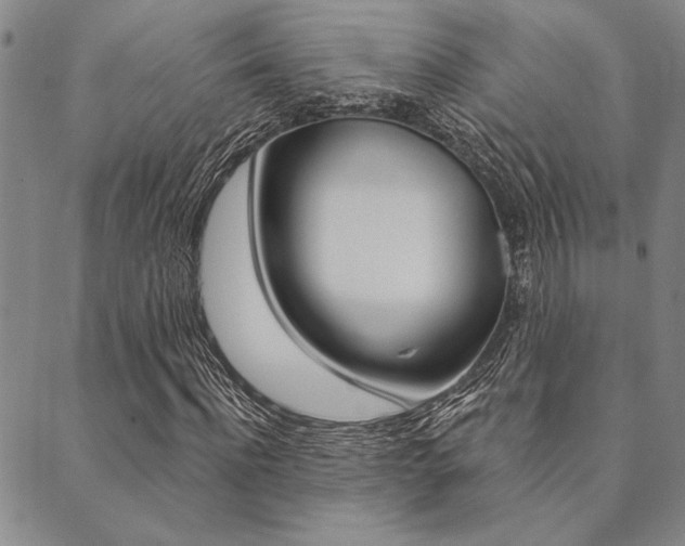 X0000089700916200706210847