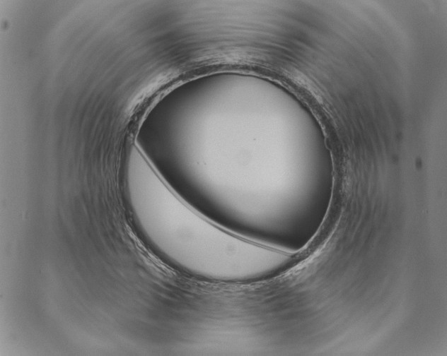 X0000089700922200706210847