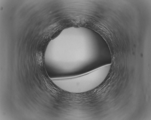 X0000089700963200706210847