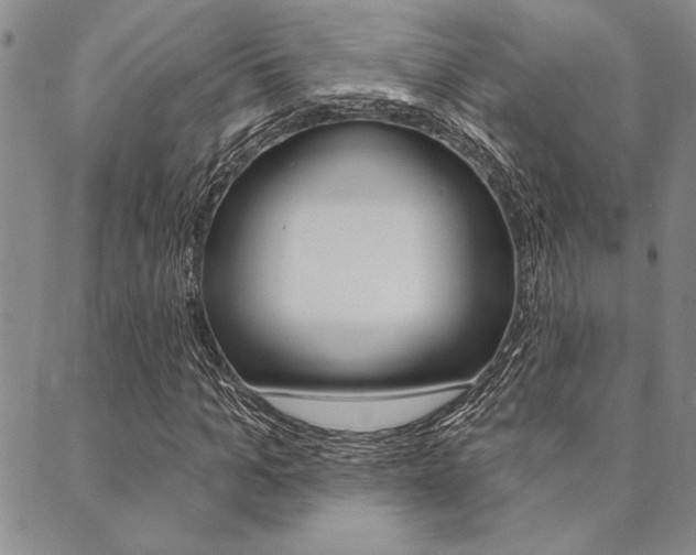 X0000089700965200706210847