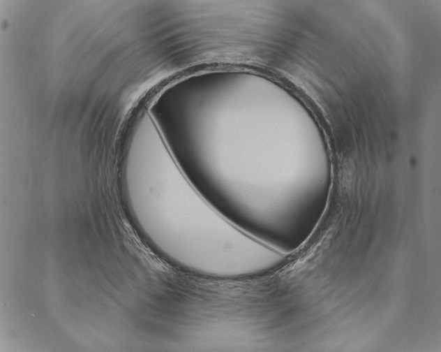 X0000089700971200706210846