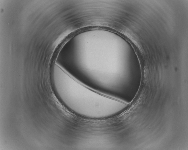 X0000089700972200706210846
