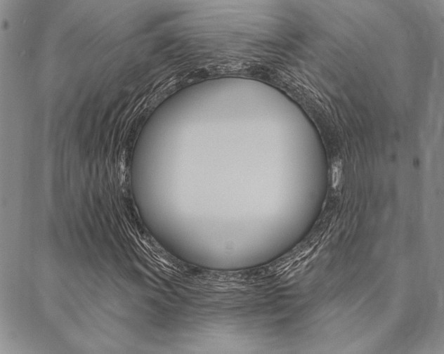 X0000089701011200706210845