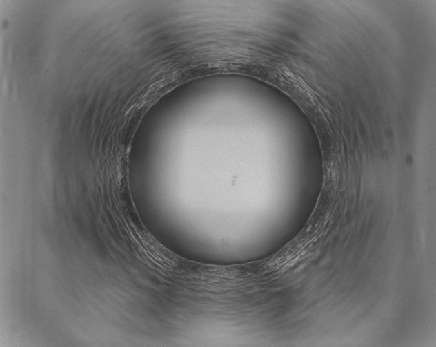 X0000089701012200706210845