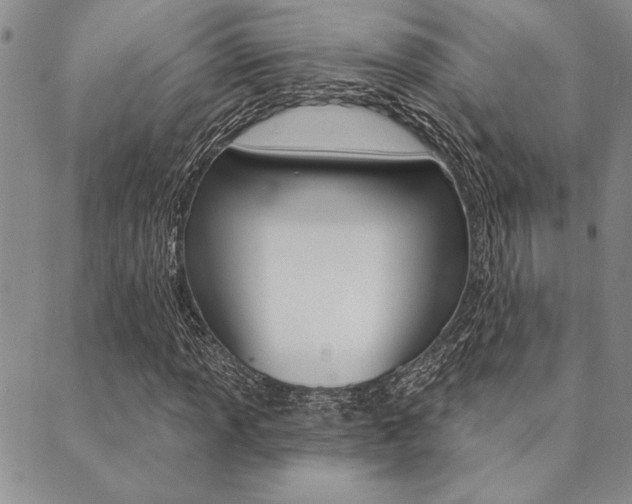 X0000089701013200706210845