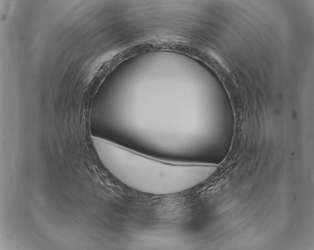 X0000089701016200706210845