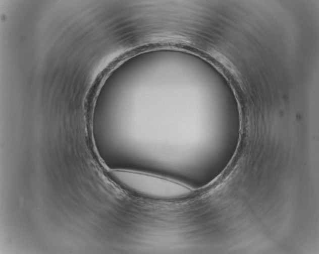 X0000089701022200706210845